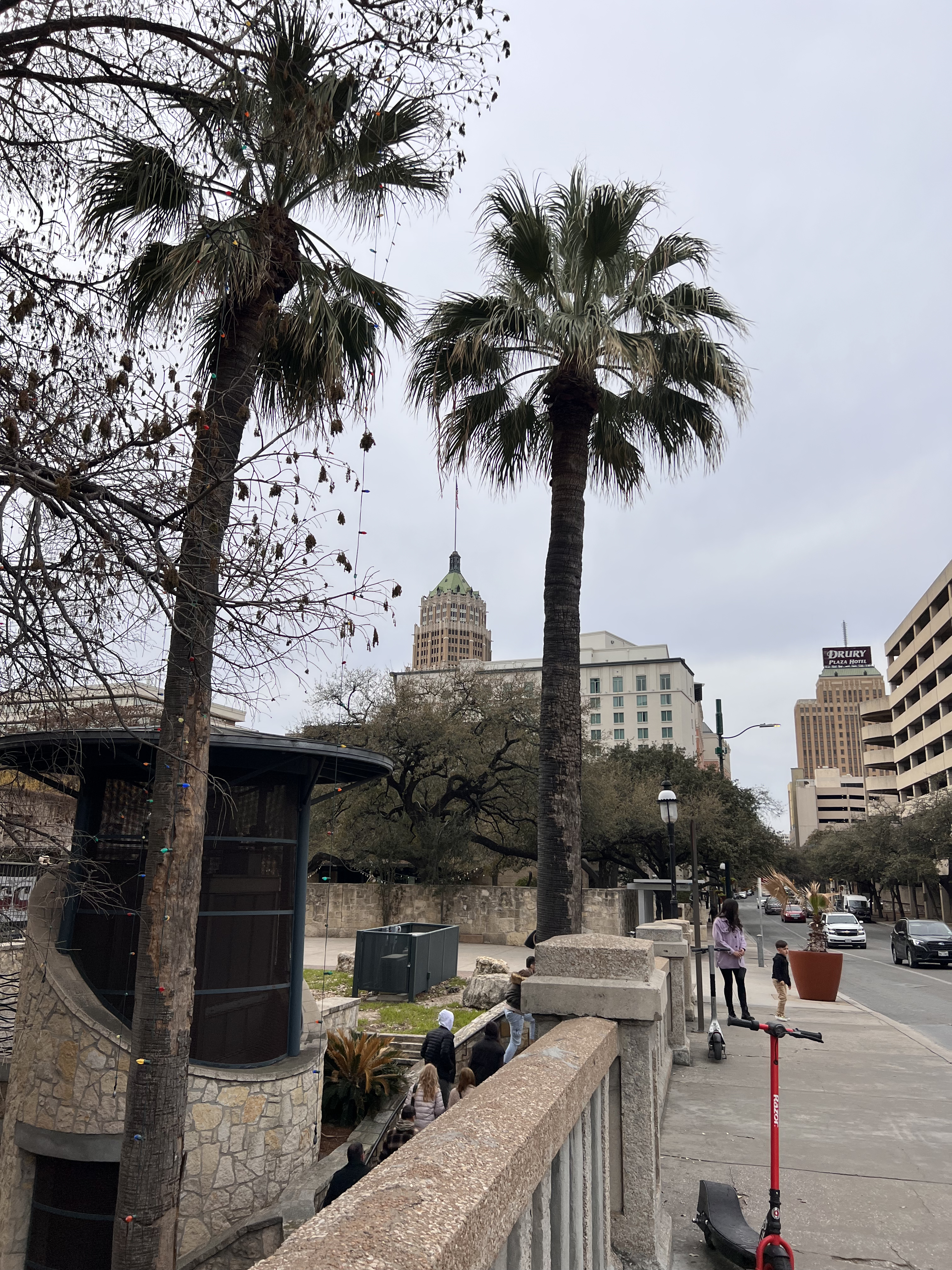 ./2023/02 - Texas/IMG_6688(1).jpg